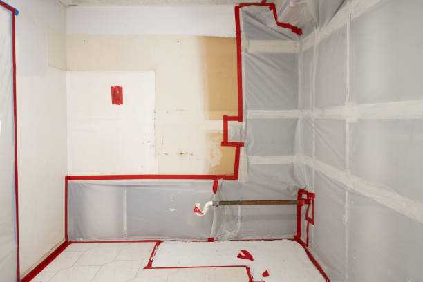 Best Air Quality Testing for Mold Spores  in Mogul, NV