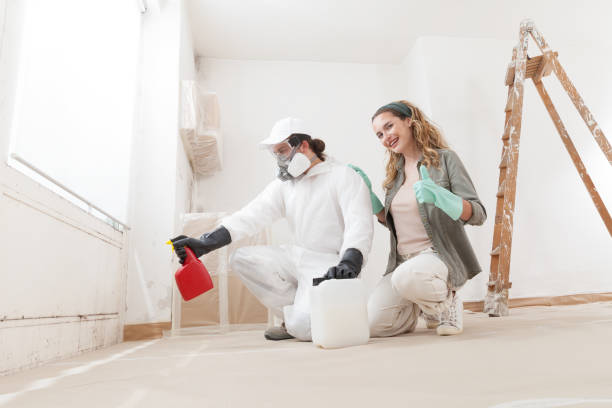 Mogul, NV Mold Removal Company